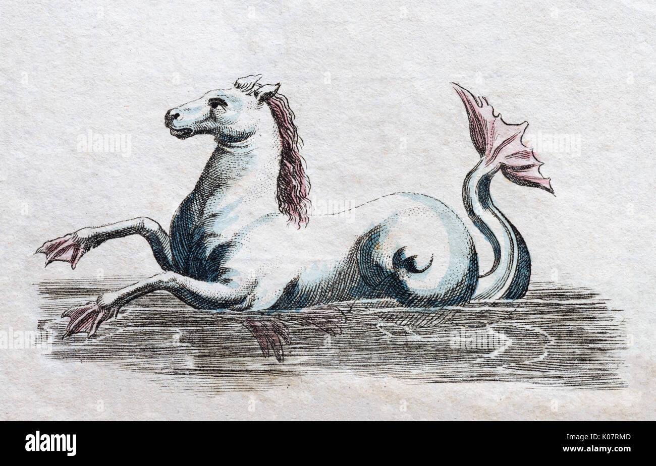 Seahorse, handcoloured copper engraving from Friedrich Justin Bertuch Picture book for children, Weimar 1792 Stock Photo