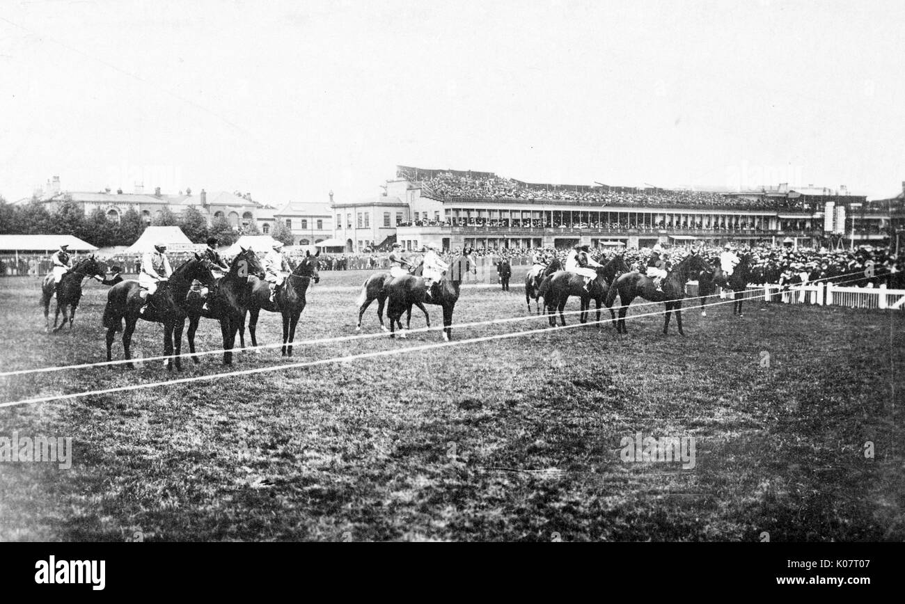 Horses at the starting line, Doncaster racecourse, with a grandstand in the background.      Date: circa 1910 Stock Photo