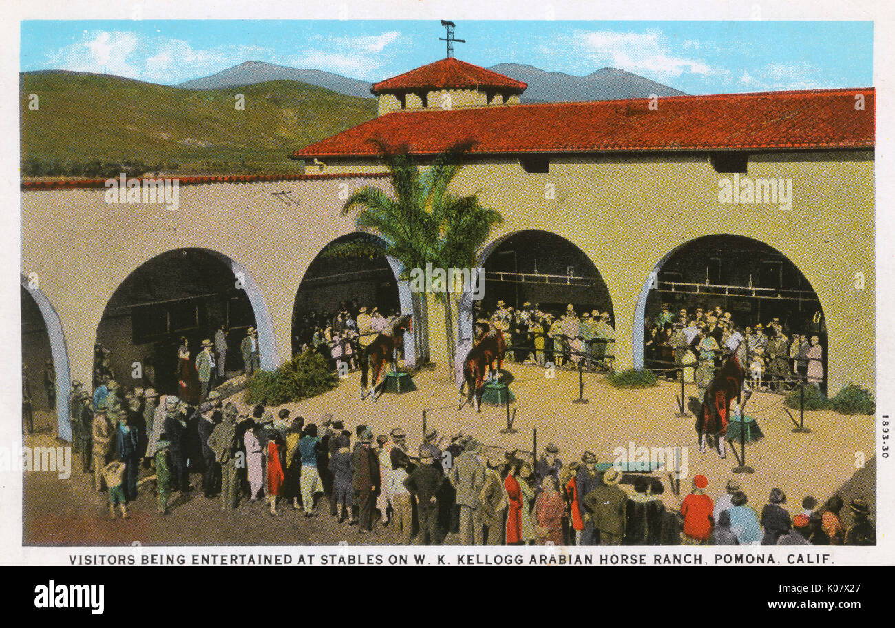 Visitors being entertained at the Kellogg Arabian Horse Ranch, Pomona, California, USA.      Date: 1930 Stock Photo