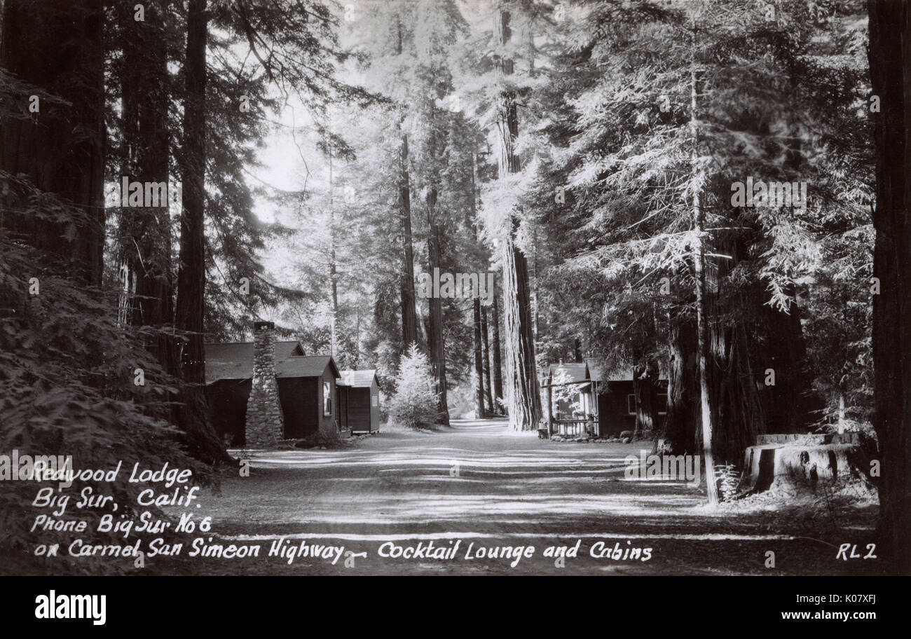Redwood Lodge On The Carmel San Simeon Highway Big Sur