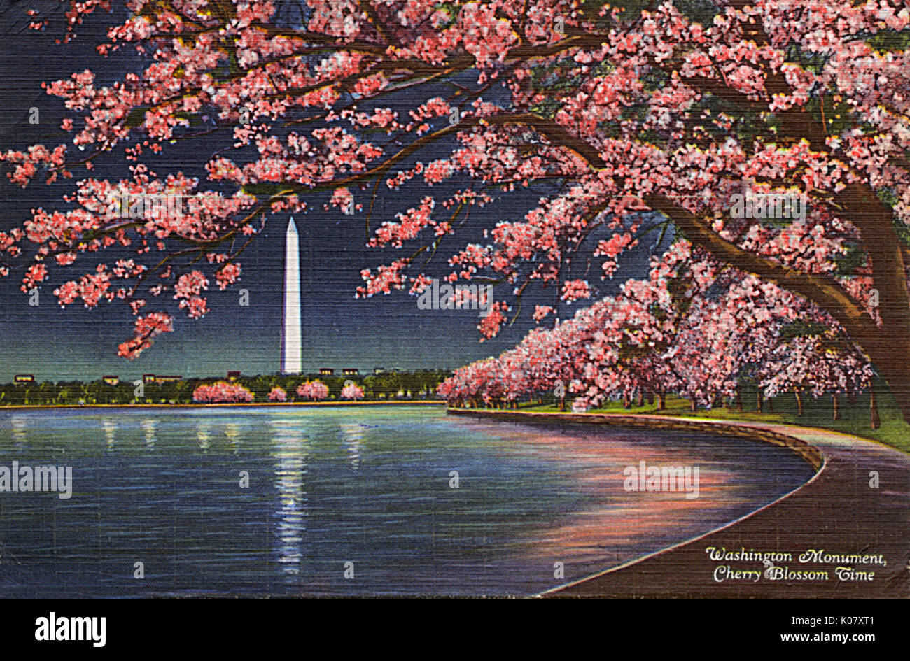 Washington DC, USA - Washington Monument cherry blossom Stock Photo - Alamy