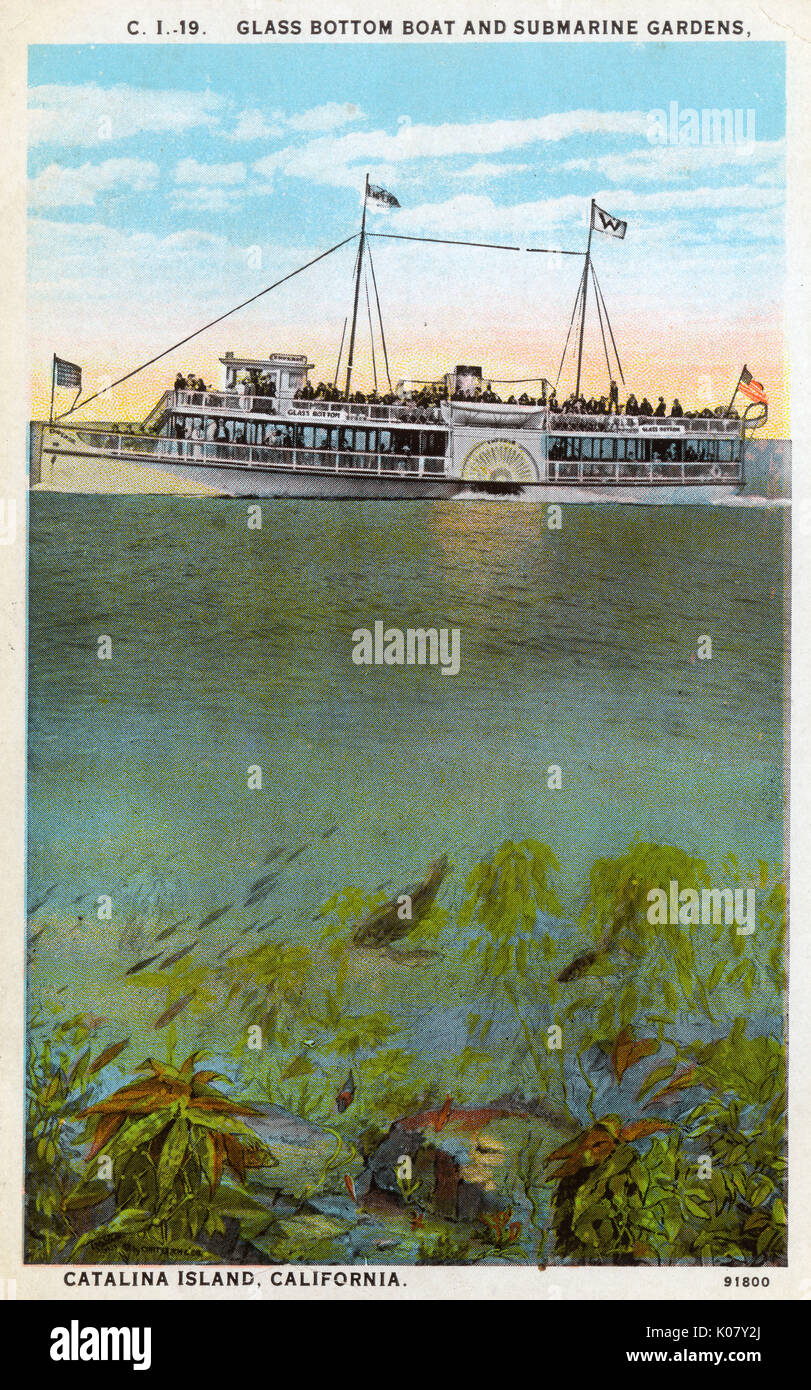 Boater Id Card California