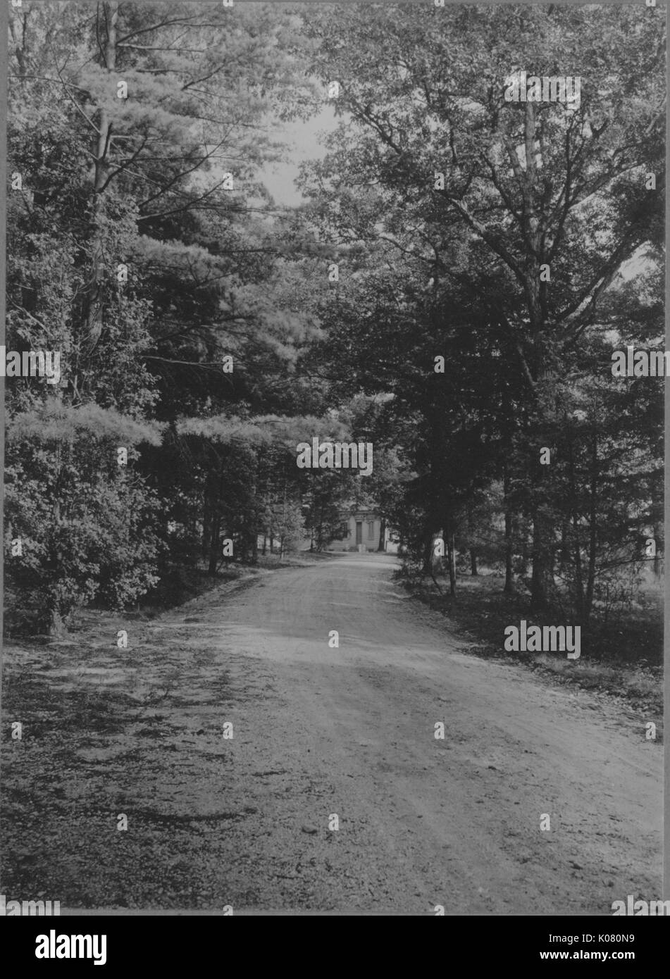 Portrait shot of a dirt road, lined by trees, Roland Park/Guilford, United States, 1910. This image is from a series documenting the construction and sale of homes in the Roland Park/Guilford neighborhood of Baltimore, a streetcar suburb and one of the first planned communities in the United States. Stock Photo