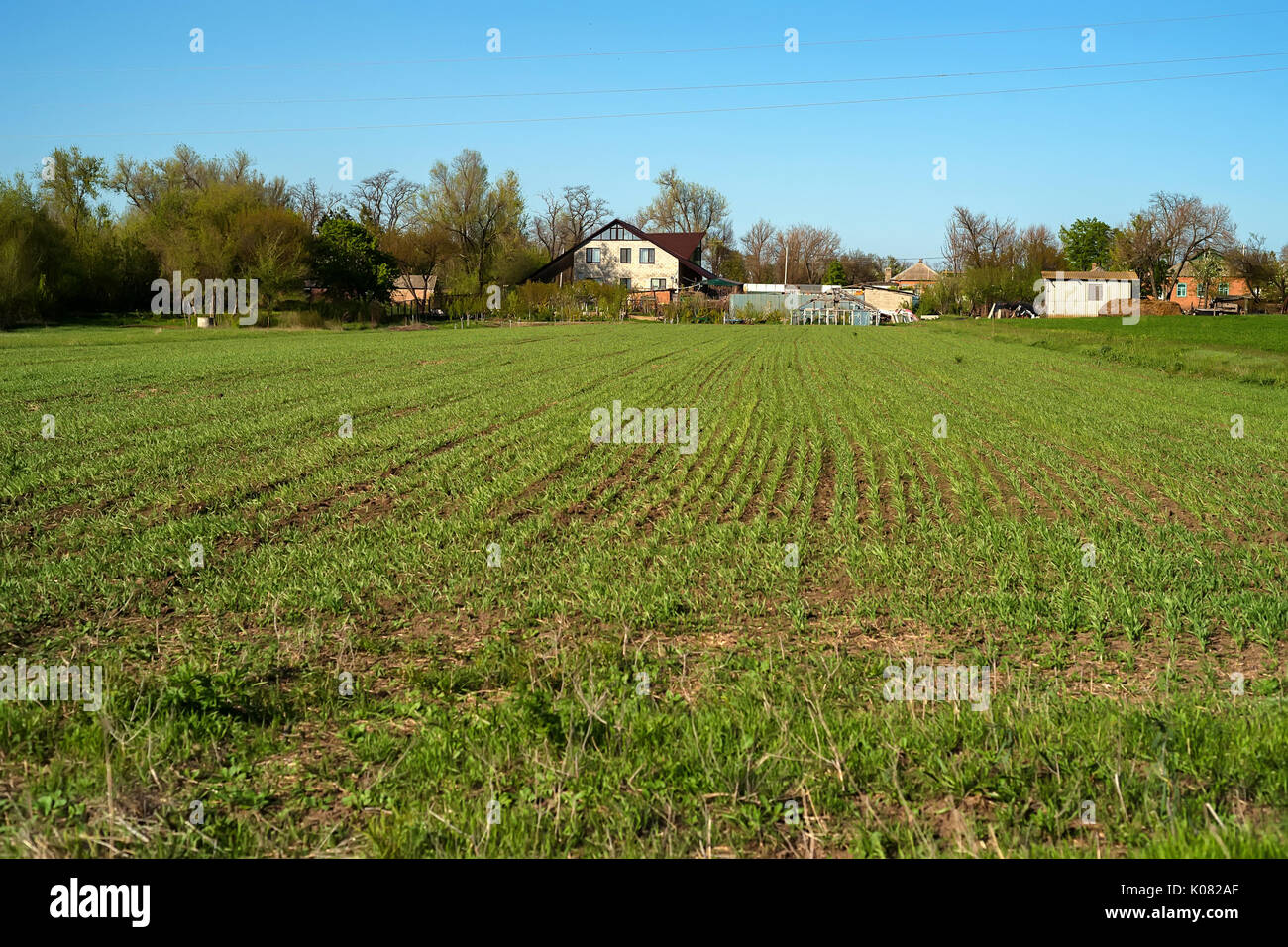Green field and country house Stock Photo - Alamy
