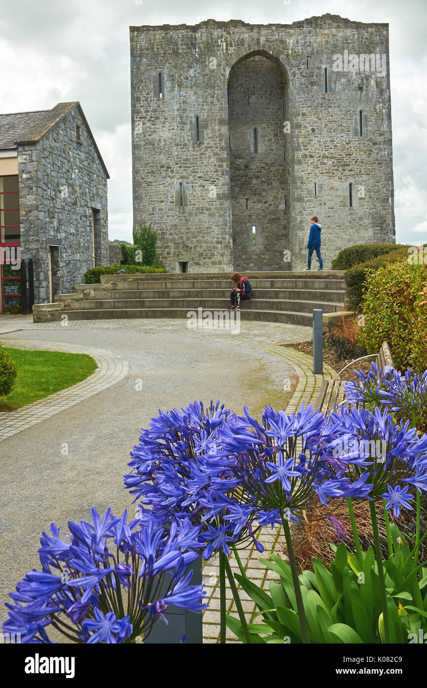 The ruins of Listowel Castle in the centre of the town, in County Kerry, Ireland Stock Photo