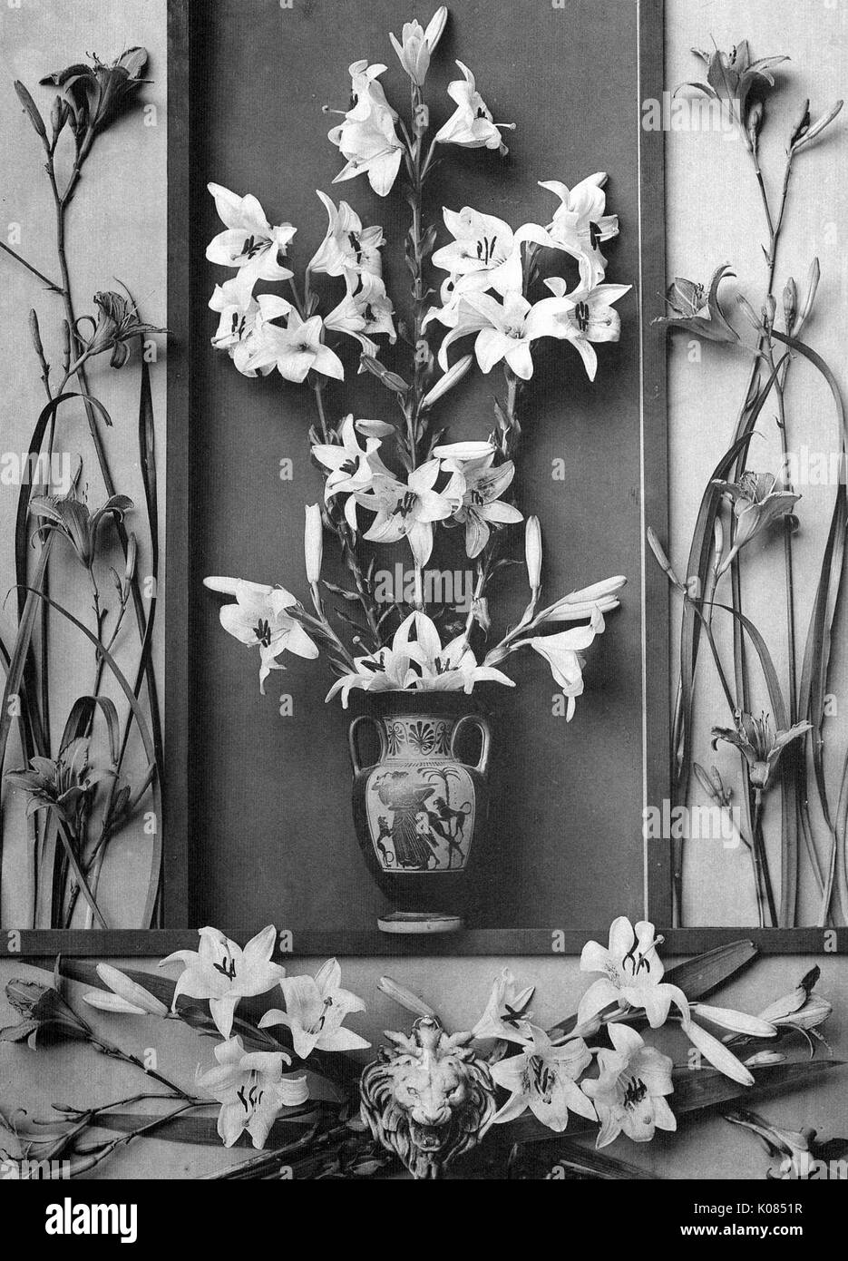 Symmetrical design of lily flowers on sides and in vase, lion ornament on bottom in middle of lily flowers, 1900. Stock Photo