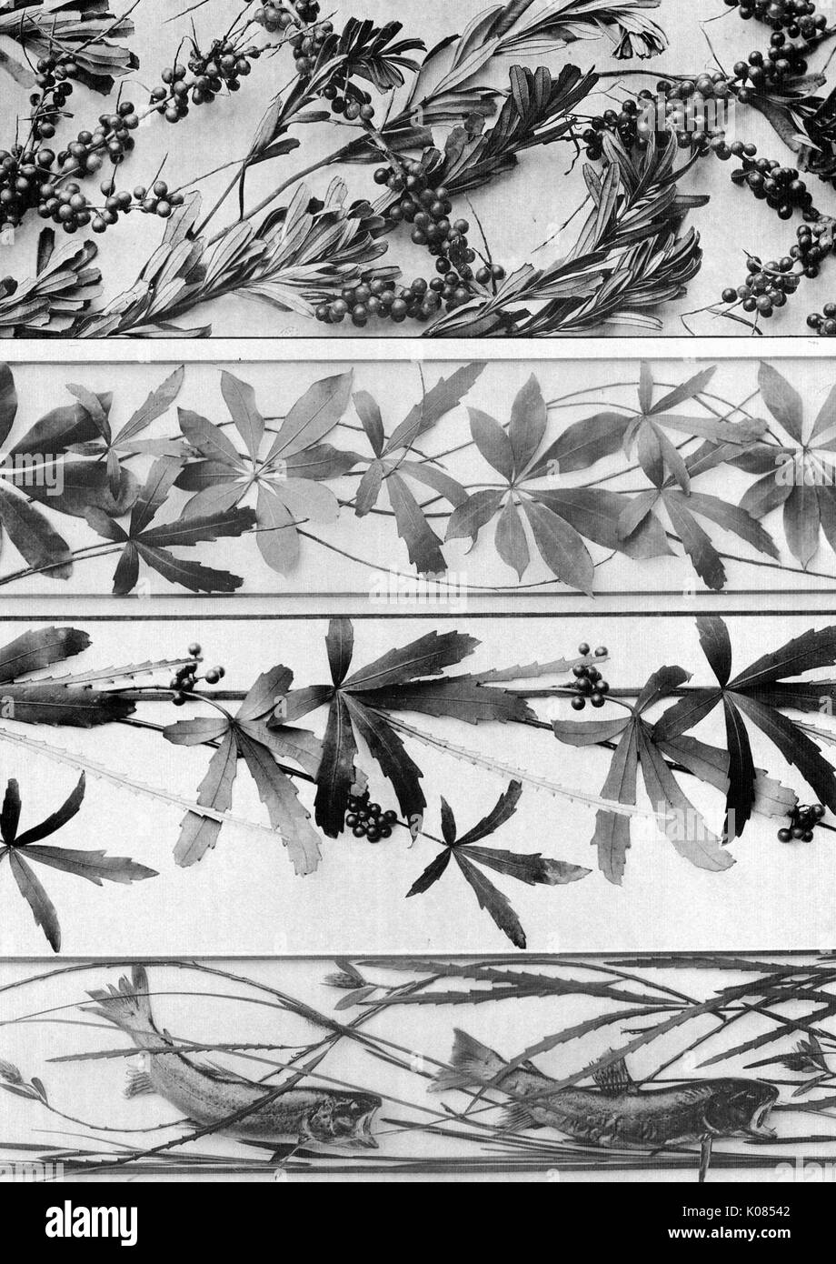Design made up of four different plants such as one with berries, one with leaves, one with berries and leaves and another with other plants, 1900. Stock Photo