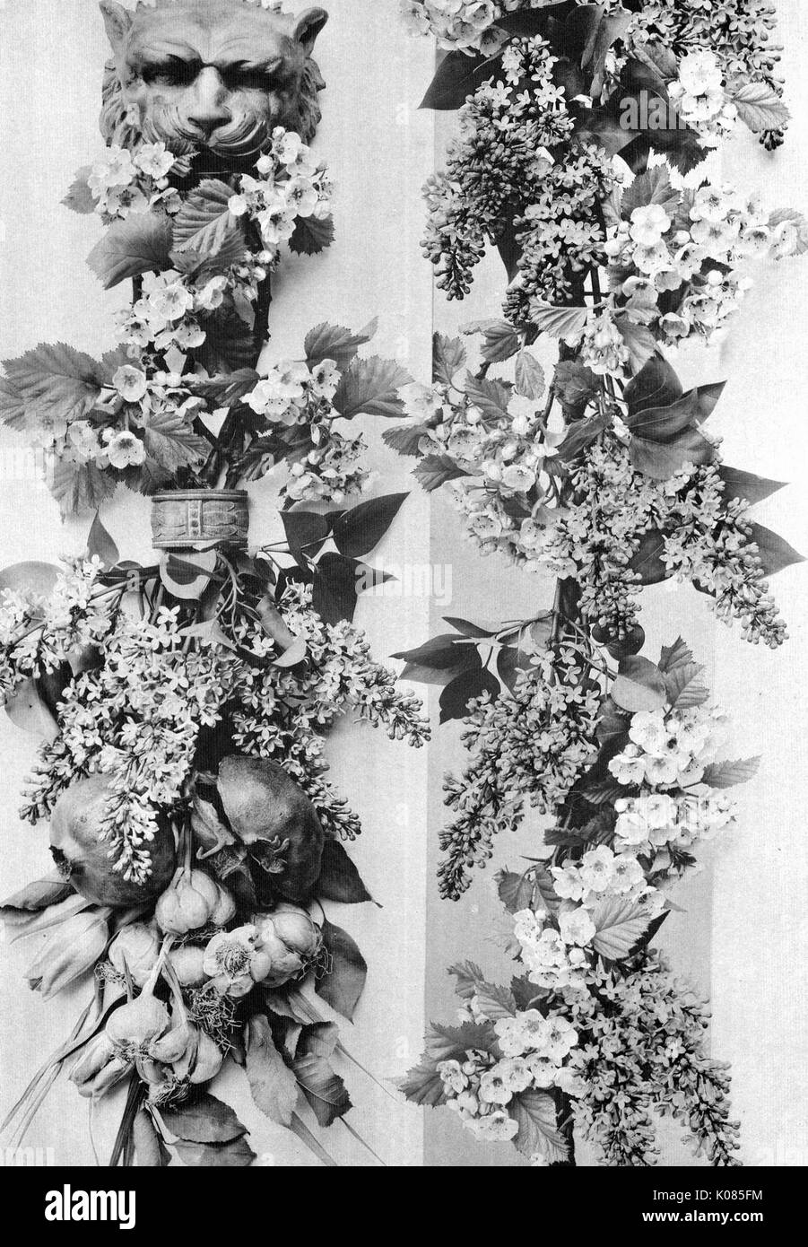 Two floral decorations with lion head on top carrying my project, fruits in image including of pomegranates and garlic, 1900. Stock Photo