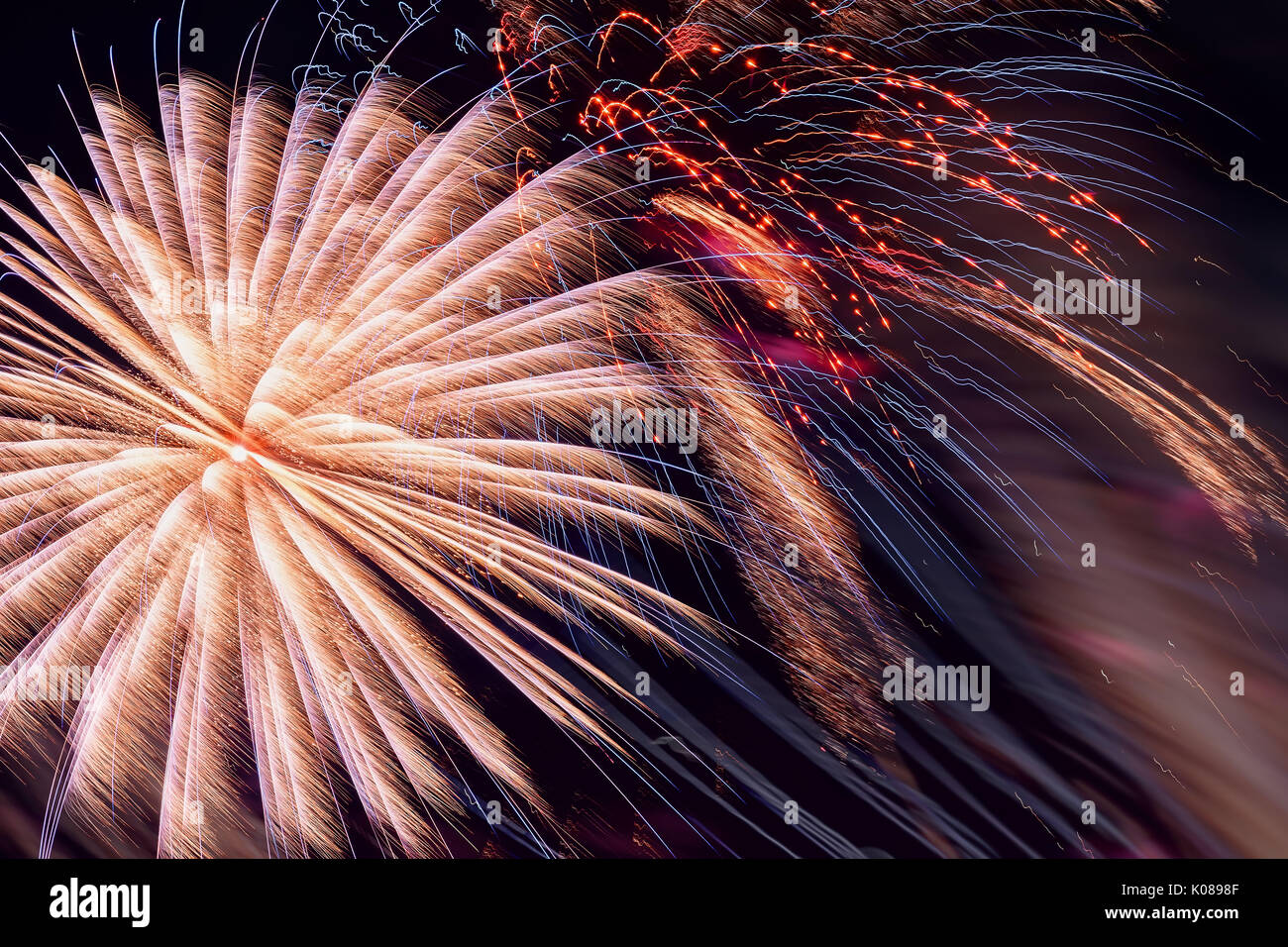 Colorful fireworks, as pink peony and sparks. Colored firework holiday