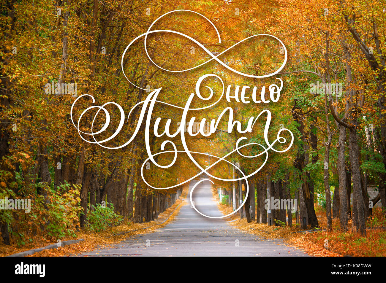 Hello Autumn calligraphy lettering text on Road running through summer tree alley Stock Photo