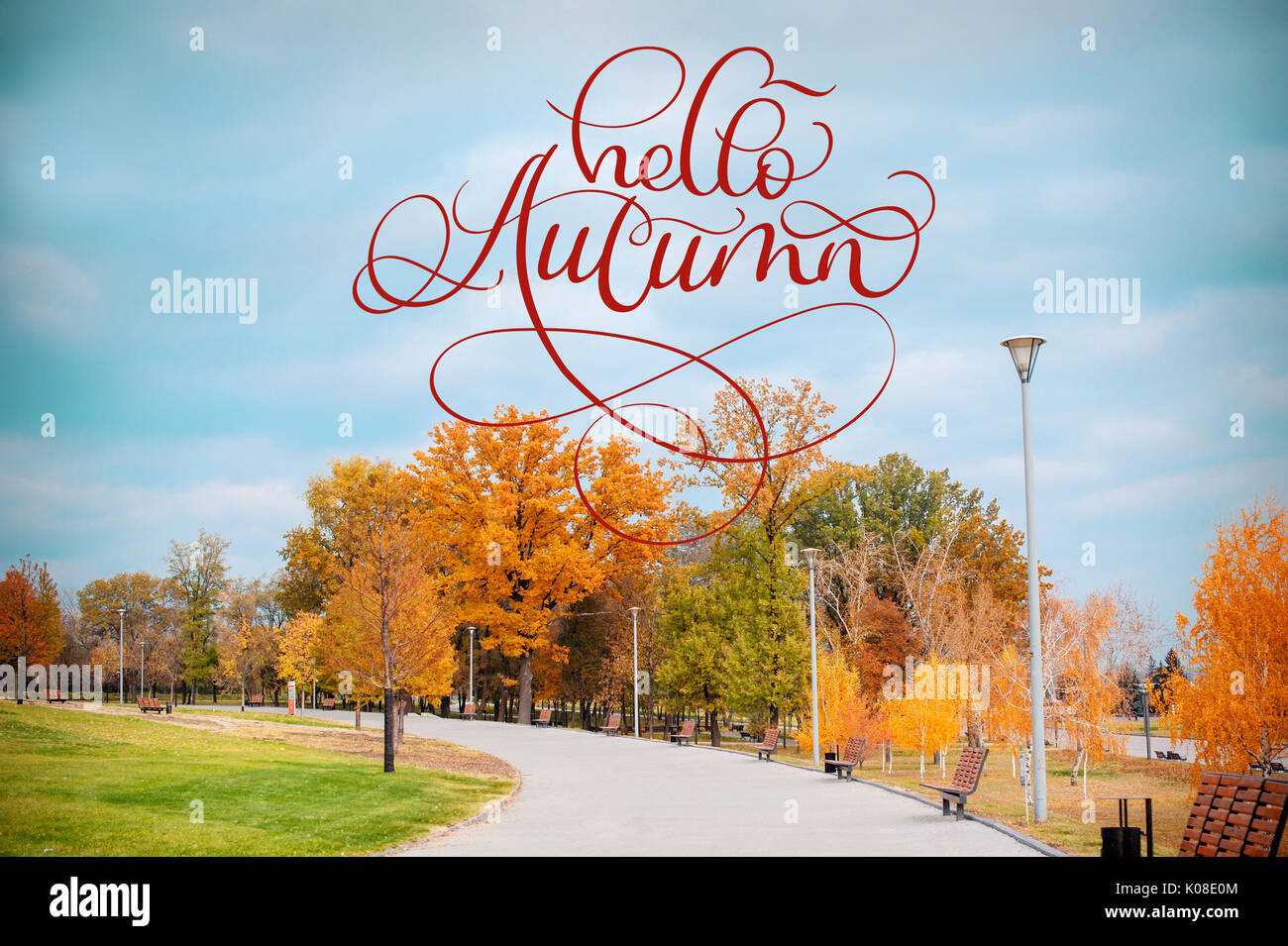 Hello Autumn calligraphy lettering text on Autumn Scenery of Park Alley ...