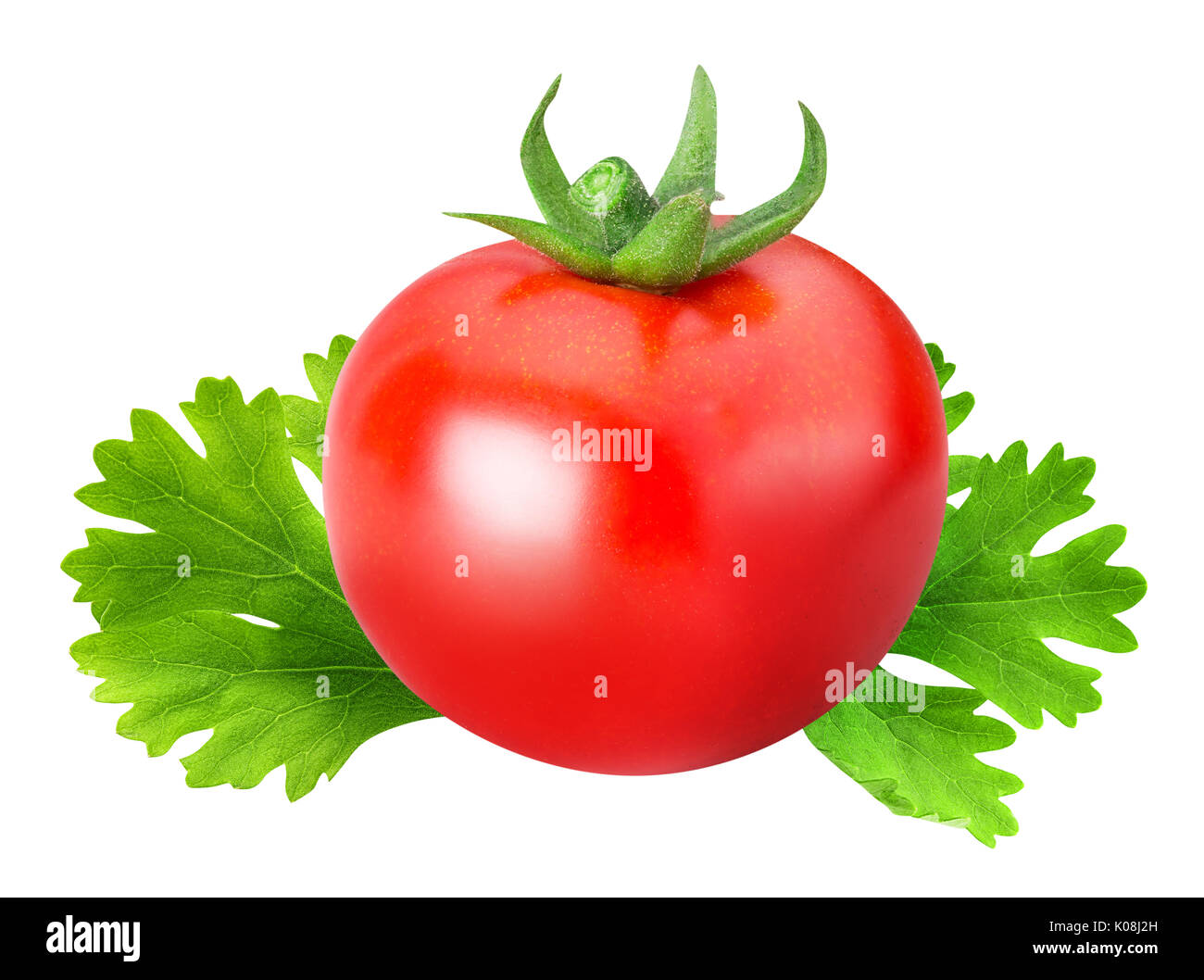 Red tomato with parsley isolated on white backgroud with clipping path ...