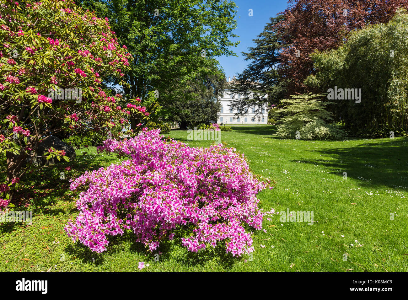 The gardens of Villa Melzi d'Eril in Bellagio, Lake Como, Lombardy, Italy. Stock Photo