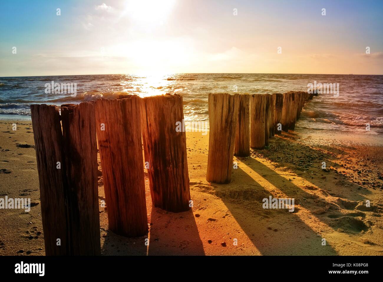 Wooden groynes at the North Sea beach at sunset Stock Photo Alamy