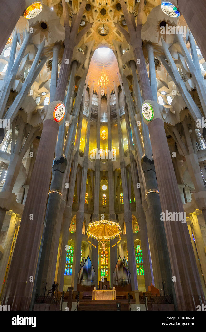 Spain, Barcelona, Sagrada Familia, Interior Stock Photo - Alamy
