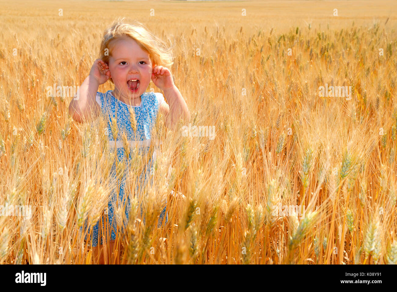 A happy little girl standing in a durum wheat field Stock Photo - Alamy