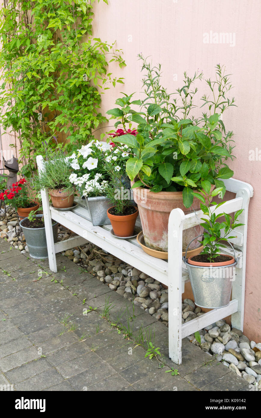 Garden bench with flower pots Stock Photo Alamy