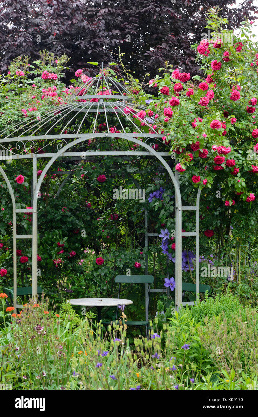 Climbing rose (Rosa Laguna) on a garden pavilion. Design: Marianne and Detlef Lüdke Stock Photo