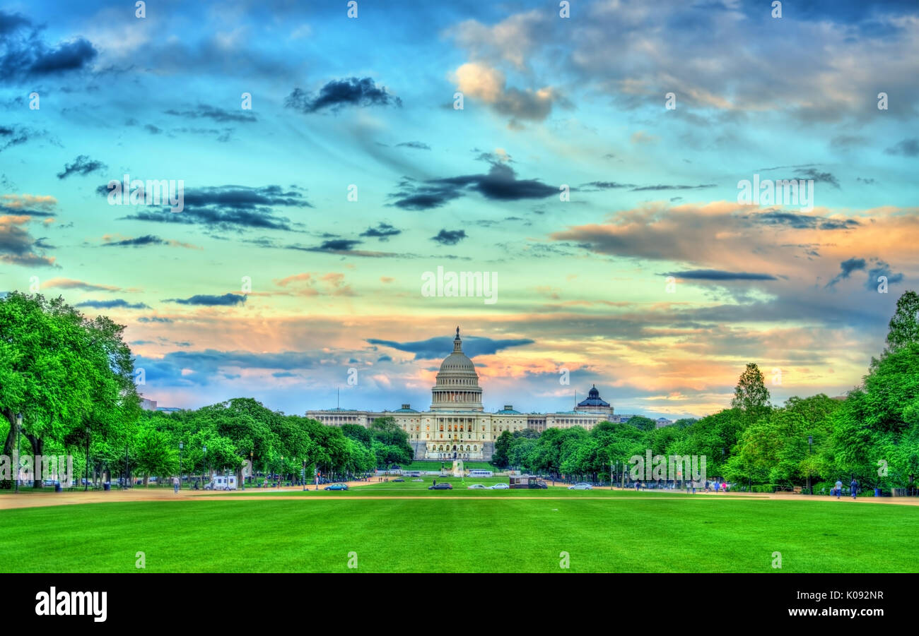 The United States Capitol on the National Mall in Washington, DC Stock Photo