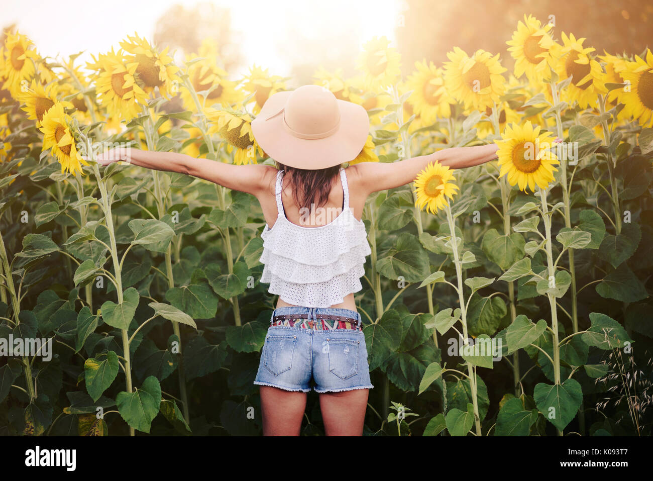 Girl in field of sunflowers Stock Photo - Alamy