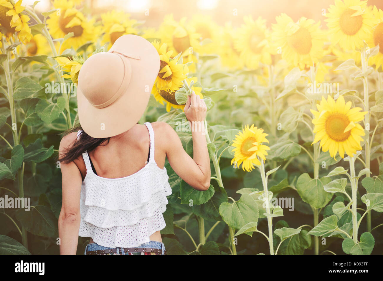 Girl in field of sunflowers Stock Photo - Alamy