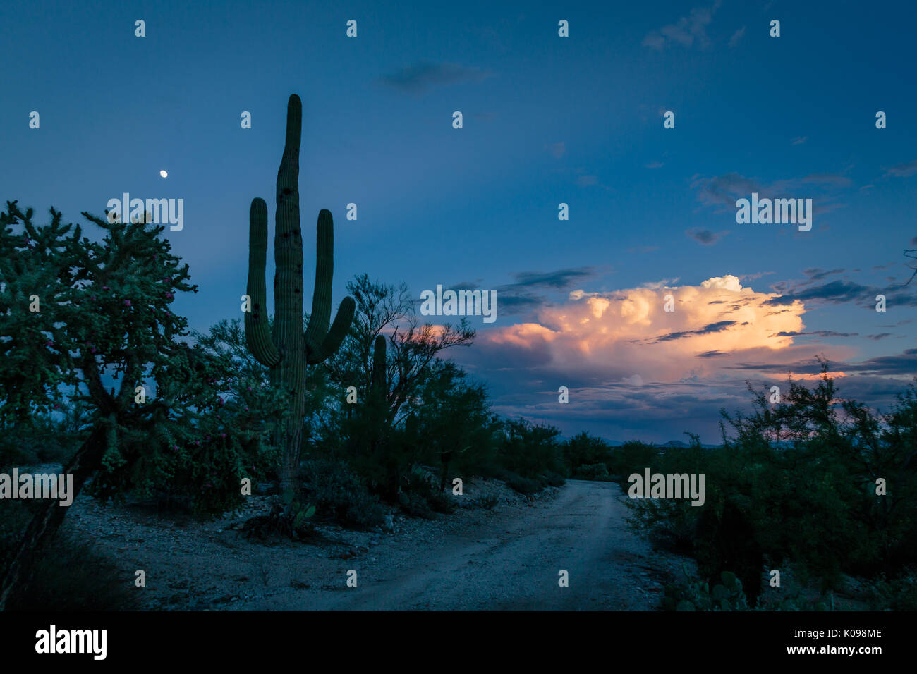 Sonoran desert sunset moon hi-res stock photography and images - Alamy