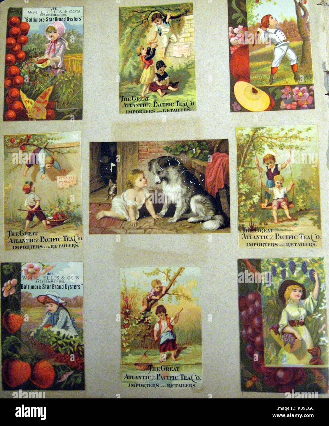 Cards for 'The Great Atlantic Pacific Tea Co.' containing images of children performing various activities from picking strawberries and grapes to swinging on a tree, 1900. Stock Photo