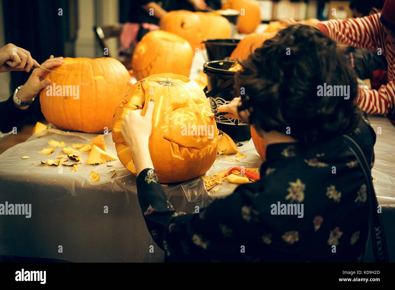 A college student is carving a pumpkin at a table full of pumpkins and other carvers, 2015. Courtesy Eric Chen. Stock Photo