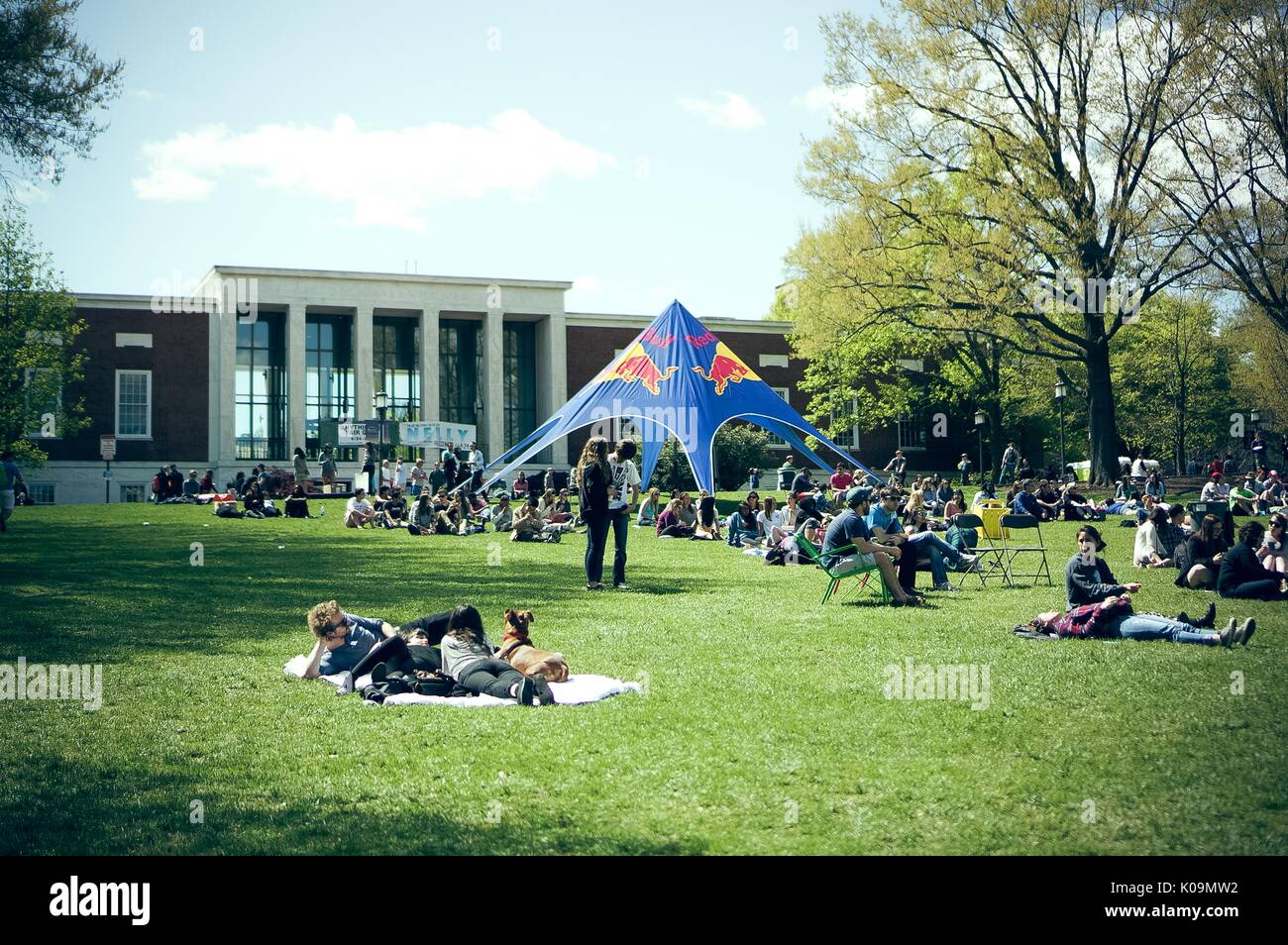 Several college students relaxing during Spring Fair, a student-run Spring carnival, on the Beach at Johns Hopkins University, 2015. Courtesy Eric Chen. Stock Photo