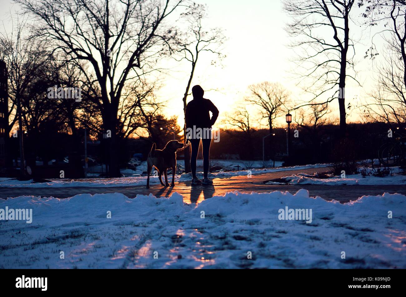 A dog and its owner stand watching the sunset on the snow-covered Homewood campus of the Johns Hopkins University in Baltimore, Maryland, 2015. Courtesy Eric Chen. Stock Photo