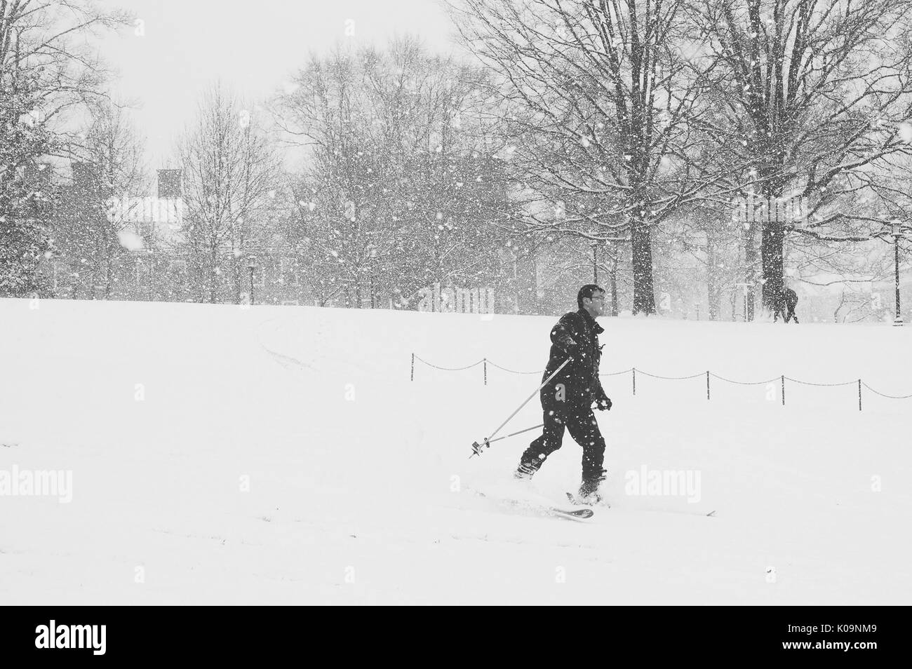 A student skis along a path as snow falls on the Homewood campus of the Johns Hopkins University in Baltimore, Maryland, 2015. Courtesy Eric Chen. Stock Photo