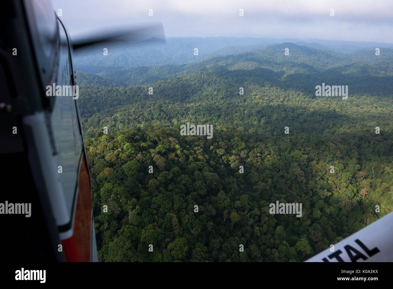 Ultra light aircraft flying over the Atlantic Rainforest Stock Photo