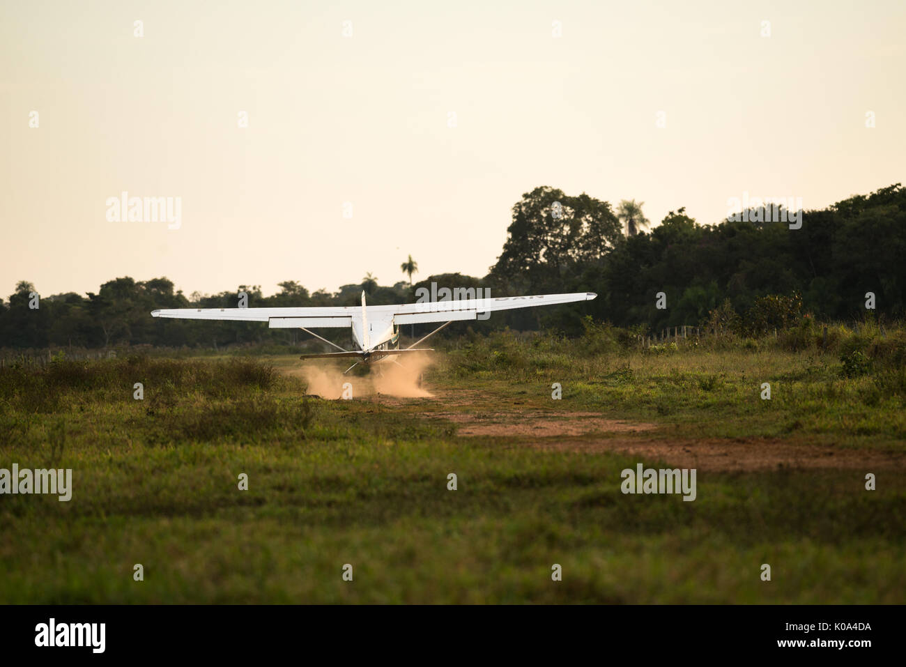 Cessna 175 landing on a dirty airstrip in the Pantanal of Brazil Stock Photo