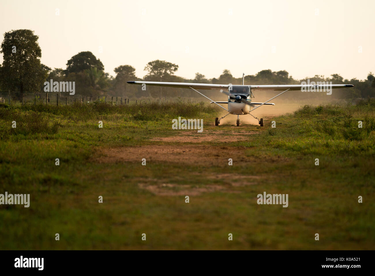 Cessna 175 landing on a dirty airstrip in the Pantanal of Brazil Stock Photo