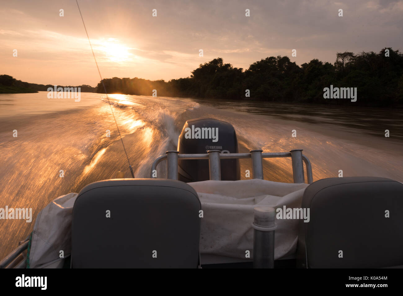 Boat speeding through a river in the Pantanal Stock Photo