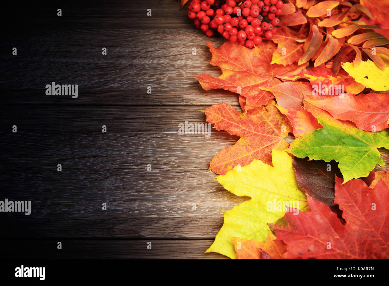 Fall leaves red yellow green on dark wooden table background Stock Photo