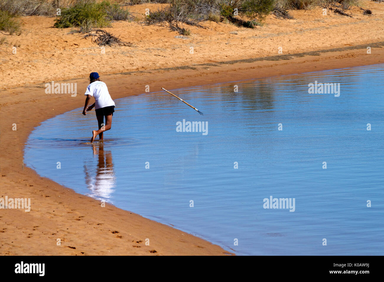 Spear fishing australia hi-res stock photography and images - Alamy