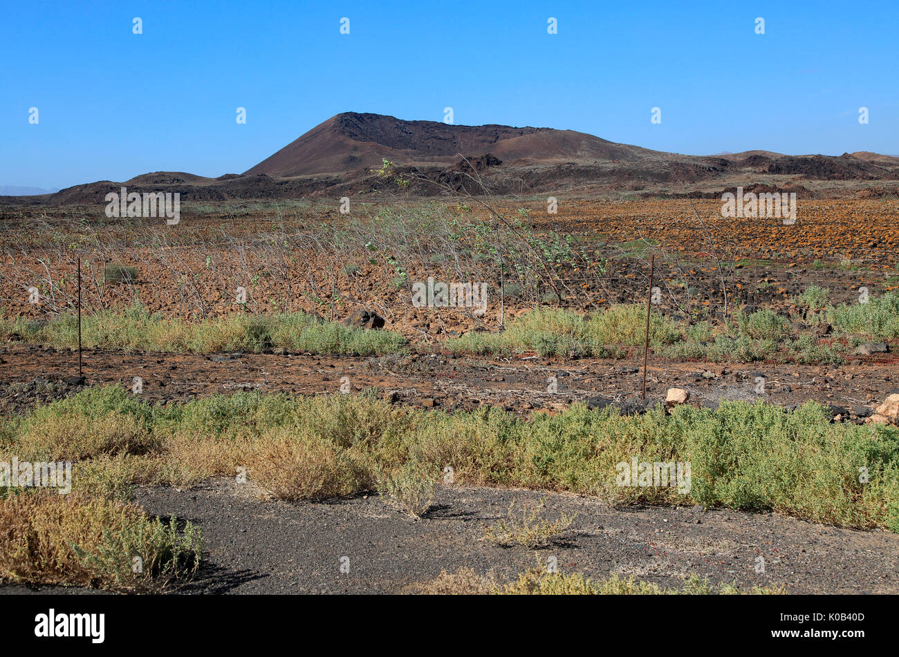 Rocky volcanic badlands 'malpais' landscape, Malpaís Grande national park, Fuerteventura, Canary Islands, Spain Stock Photo