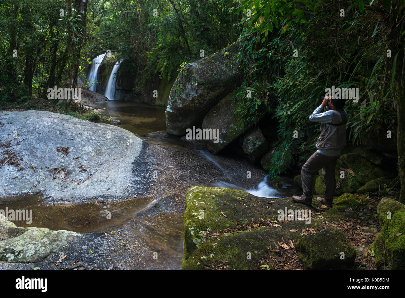 A birdwatcher in the Atlantic Rainforest of the island of Ilhabela Stock Photo