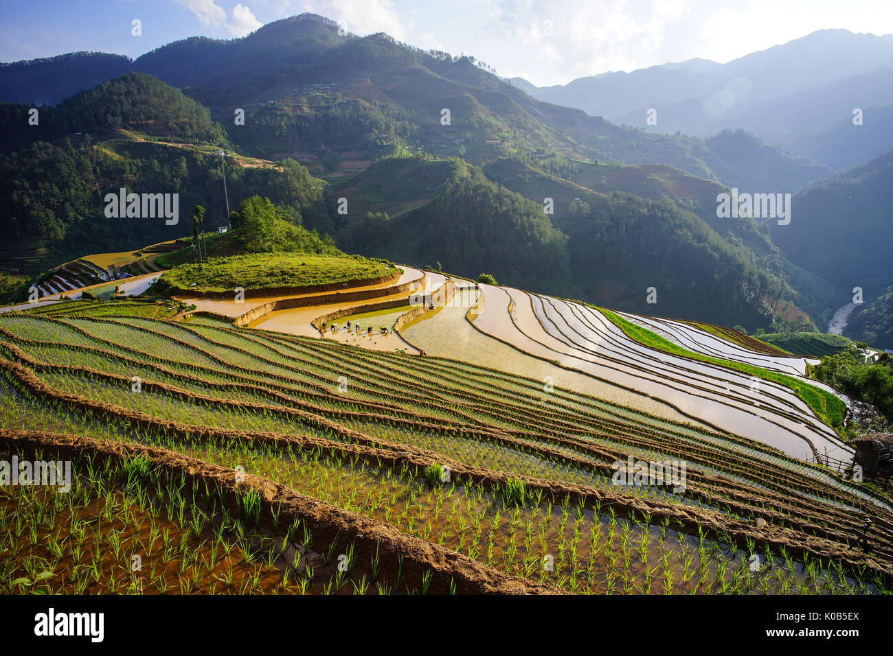 Terraced rice field with mountains in Lao Cai, Northern Vietnam. Lao ...
