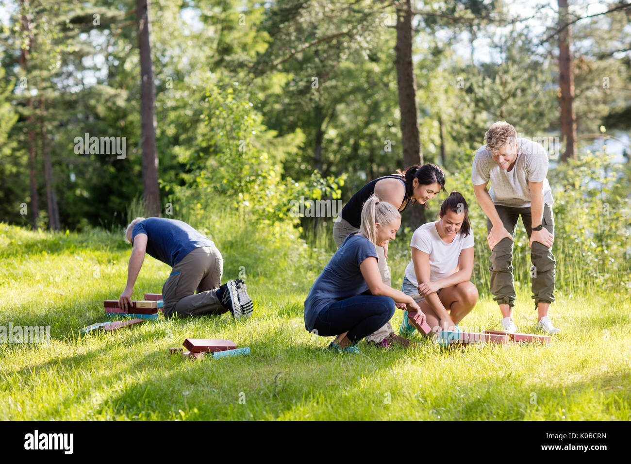 Friends Arranging Building Blocks On Grassy Field Stock Photo