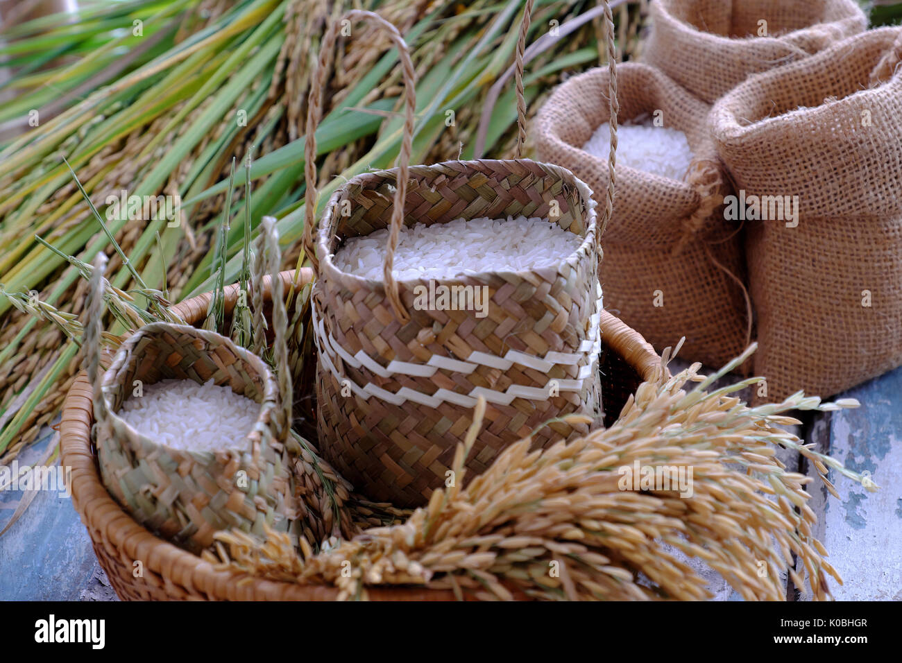 Close up of paddy grain and rice seed on wooden background, sheaf of rice in yellow and basket of grains Stock Photo