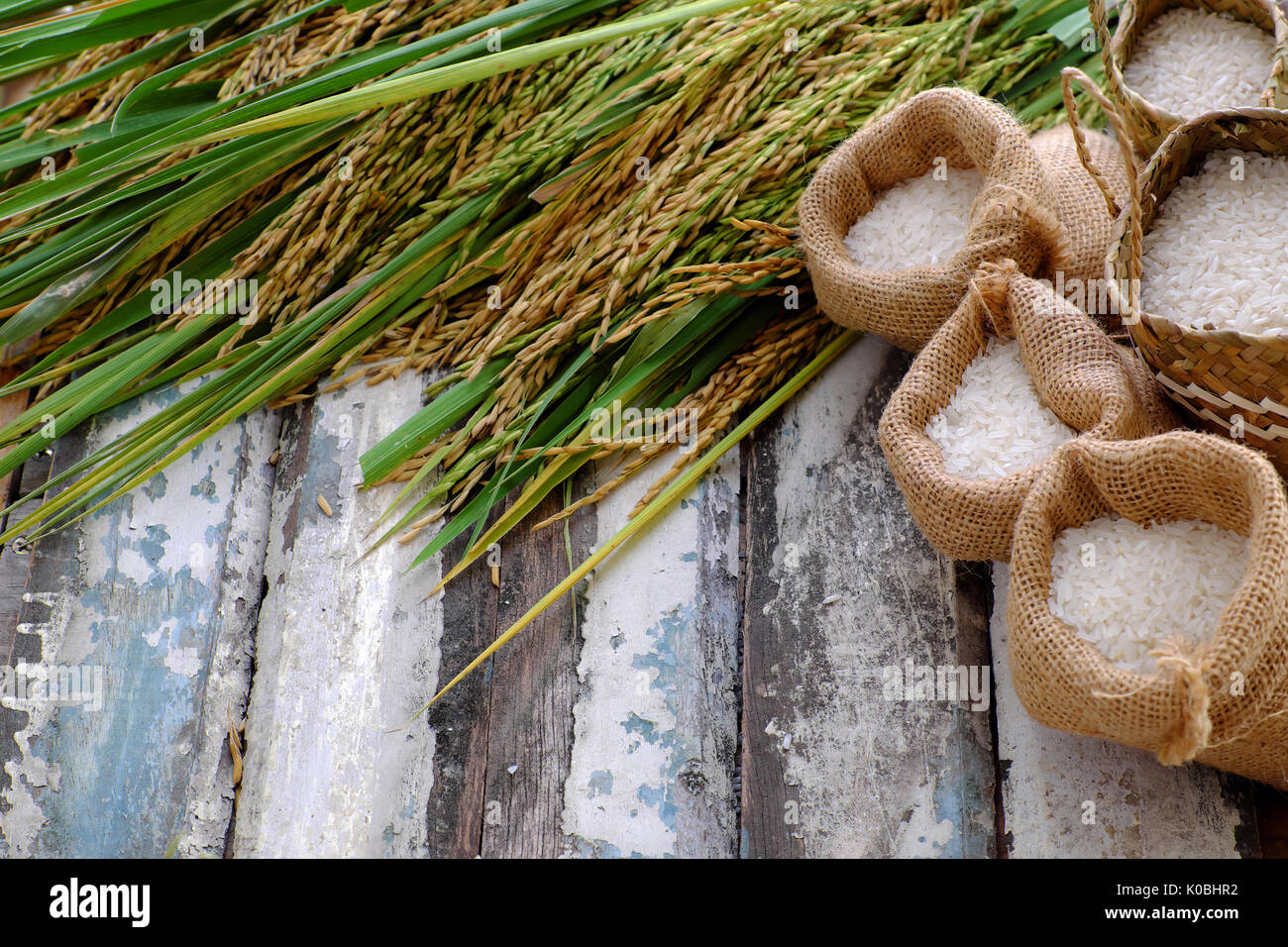 close up of paddy grain and rice seed on wooden background sheaf of K0BHR2