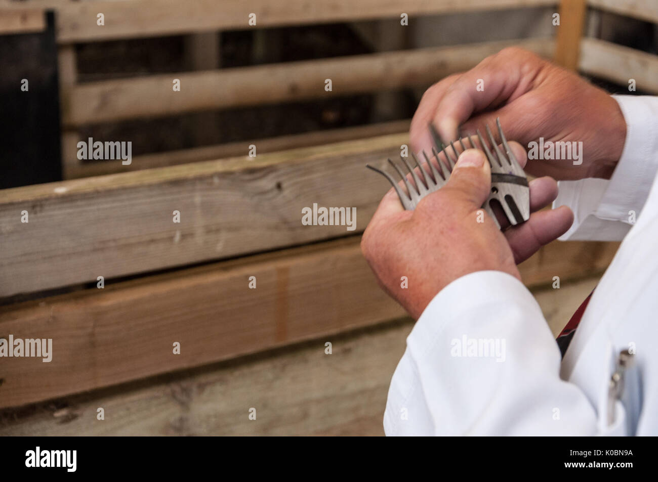 Sheep shearing equipment hires stock photography and images Alamy