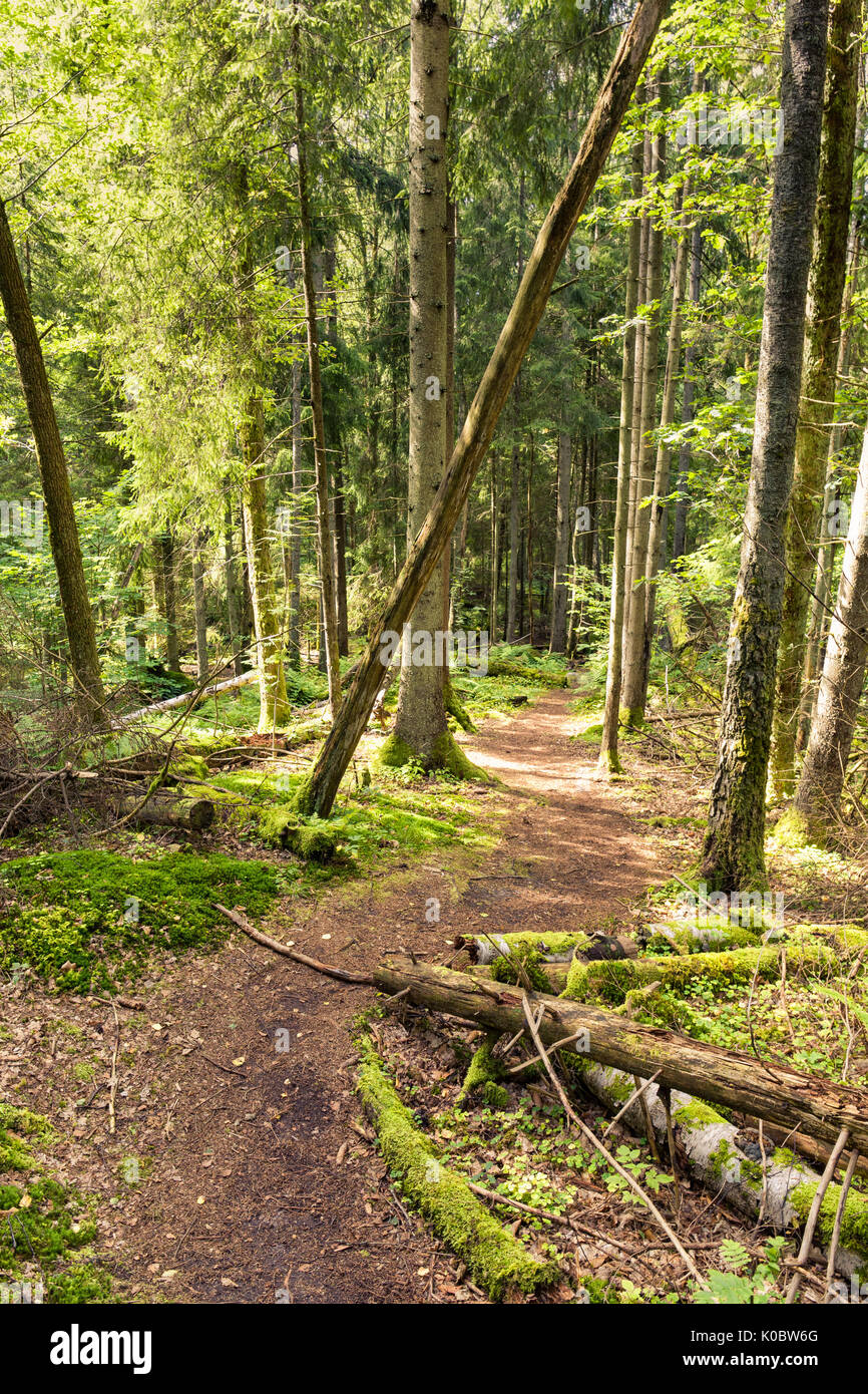Temperate climate zone hi-res stock photography and images - Alamy