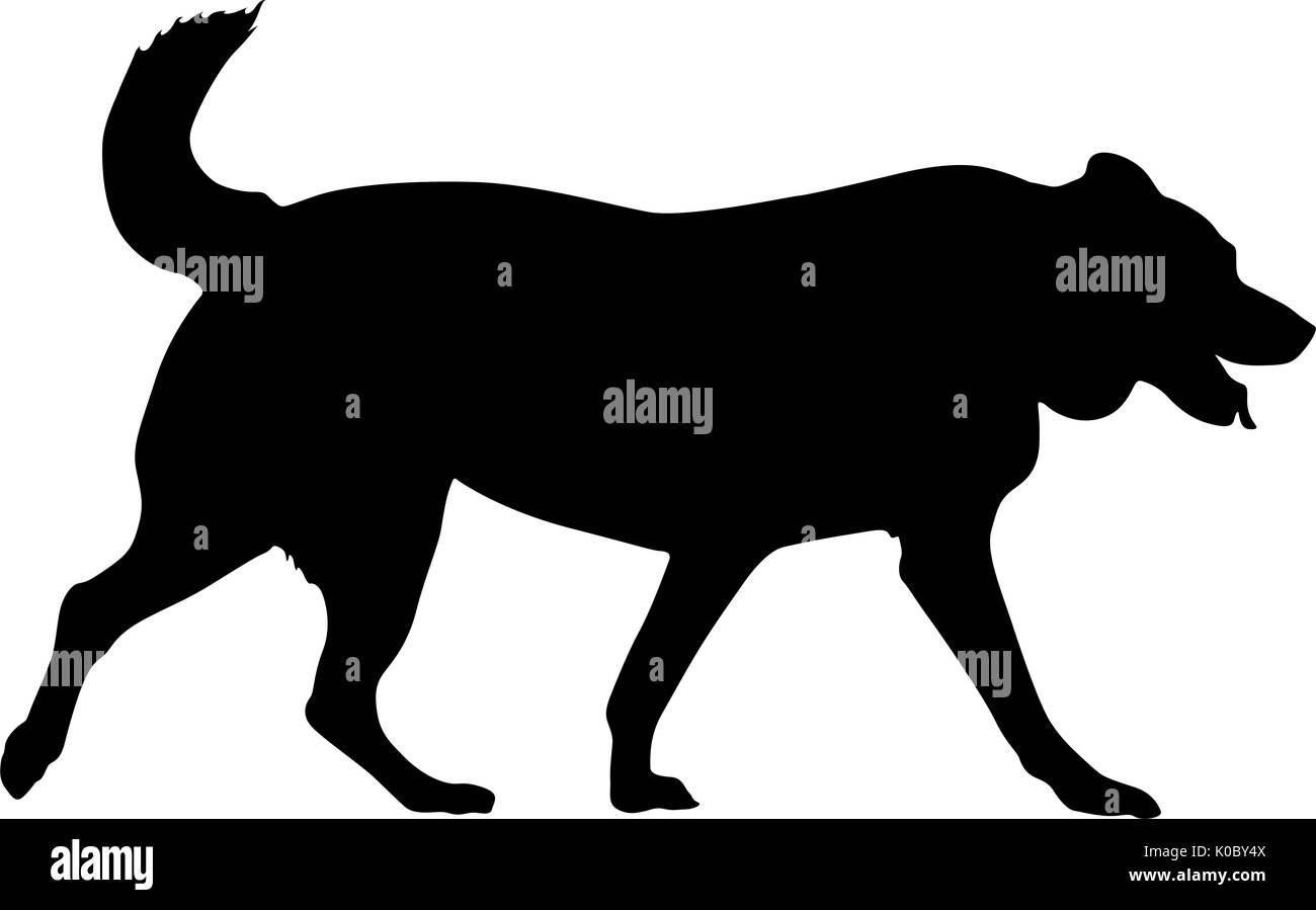 Labrador dog silhouette on a white background Stock Vector
