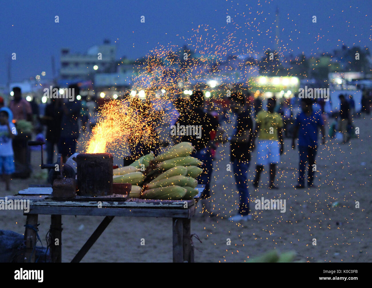 Sparks of Beach Corn Stock Photo