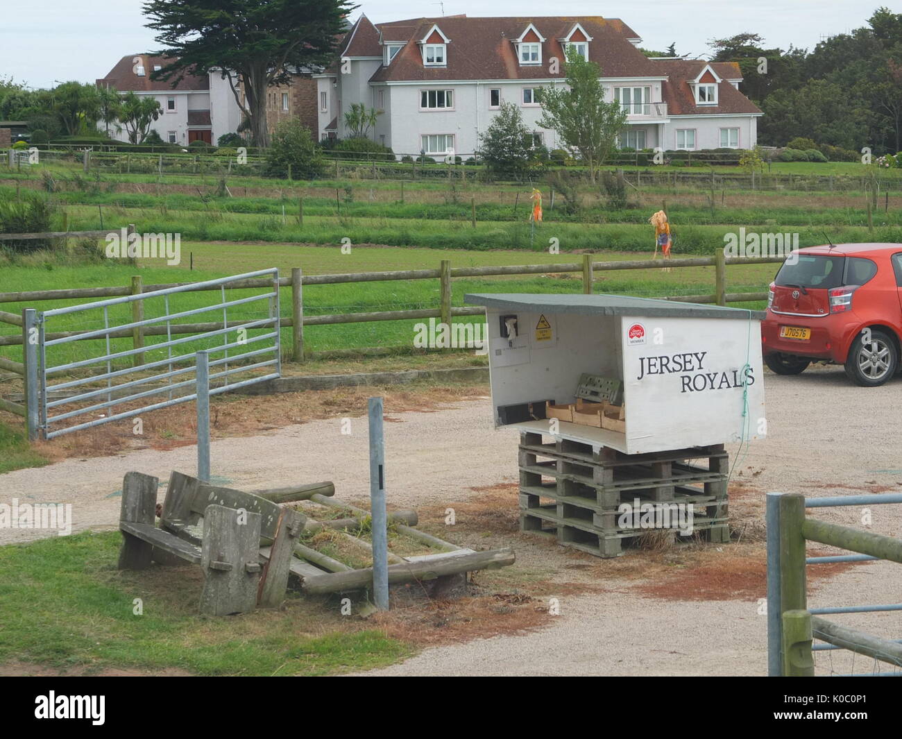jersey royal potatoes australia