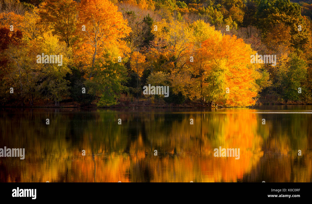 Autumn, Fall color at dawn over Radnor Lake, Nashville Tennessee, USA ...