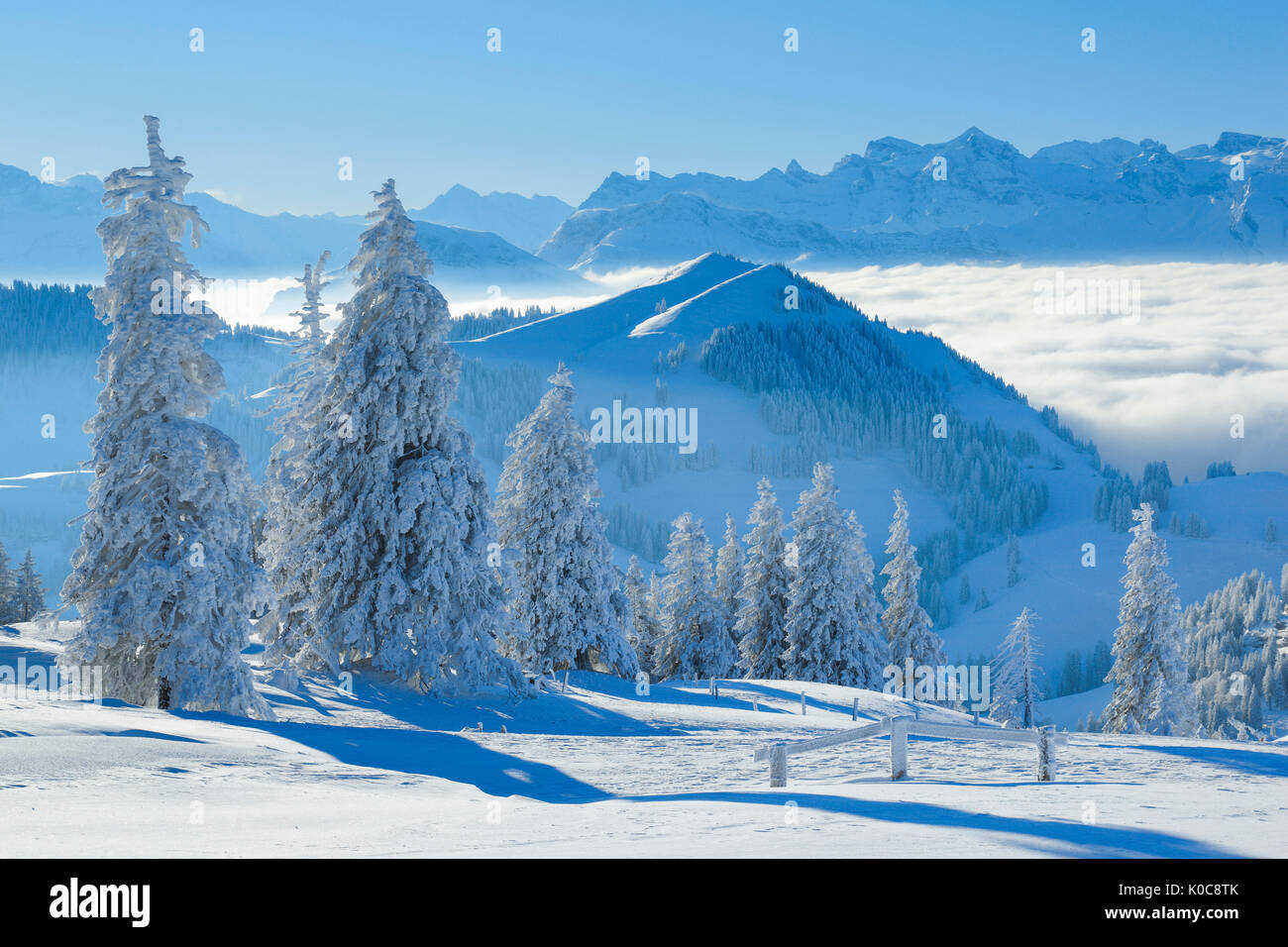 Aussicht von der Rigi, Schweiz Stock Photo - Alamy